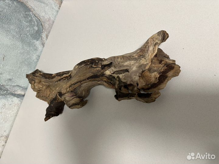 Коряги для террариума