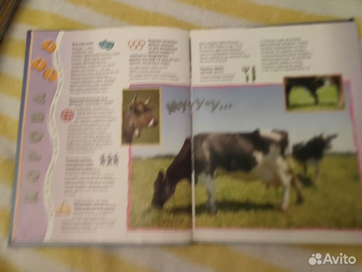 Книги о животных детские