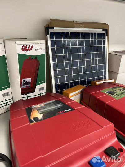 Электропастух для овец