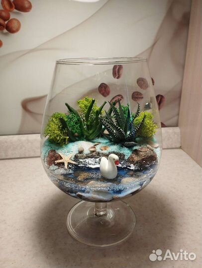 Цветочная композиция, флорариум, цветы