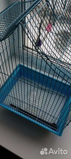 Большая Новая Клетка для попугая