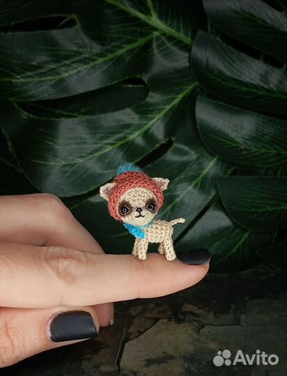 Микро щеночек. Забронирован