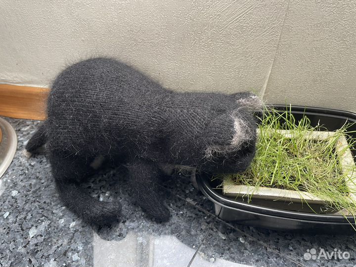 Реалистичная вязаная игрушка кот Черныш