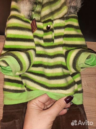 Костюм и аксессуары для маленькой собаки