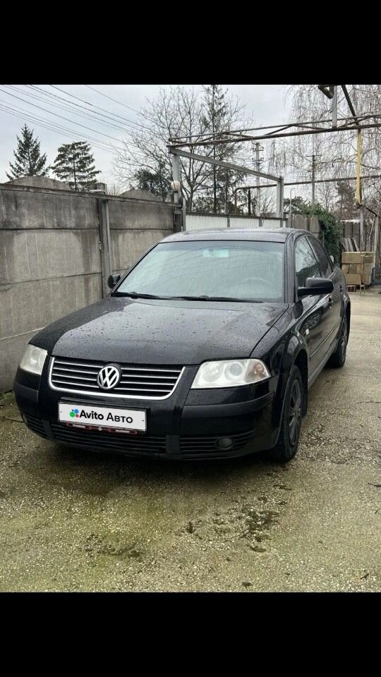 Volkswagen Passat: фото владельца