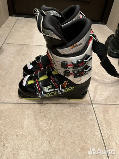 Горные лыжи комплект Fischer progressor