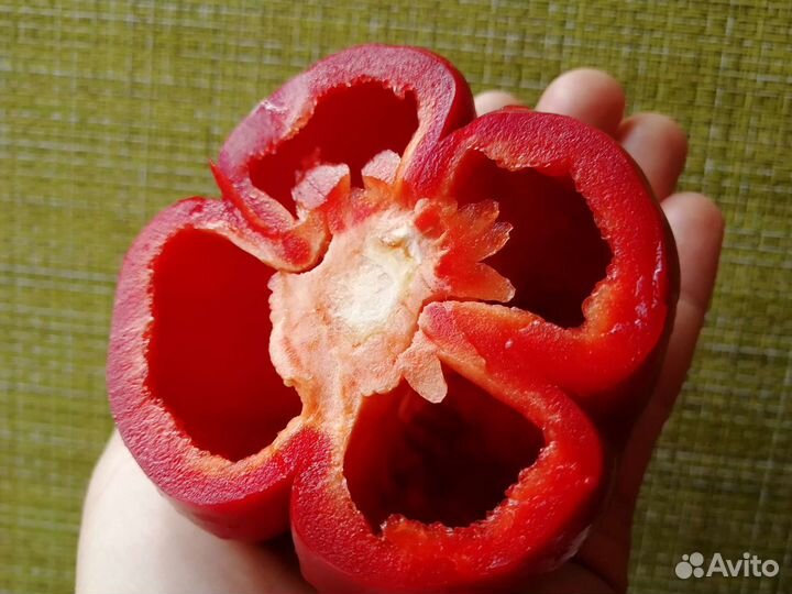 Перец сладкий (семена) Гогошары красный вкусный