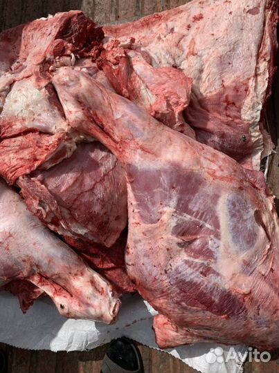 Мясо, рубец