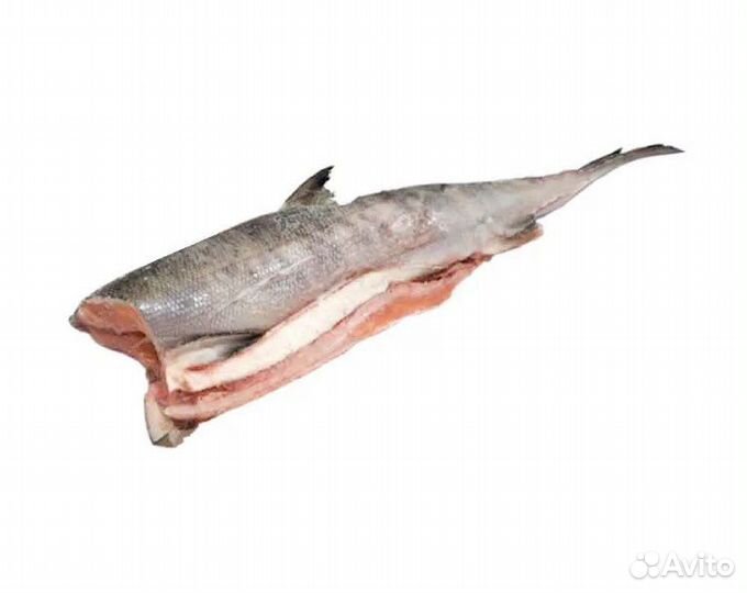 Кета свежемороженая РФ