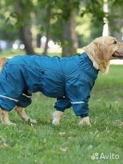 Комбинезон для собак дождевик самец 55М