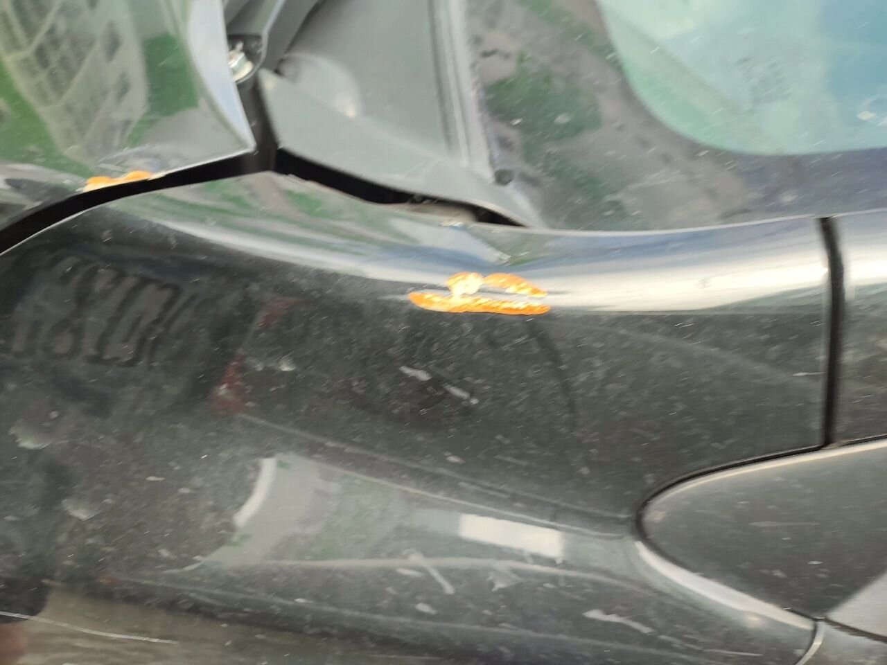 Toyota Corolla: фото владельца