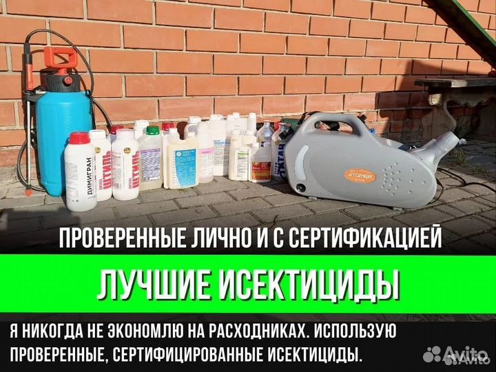 Травля тараканов. Уничтожение клопов. Дезинфекция