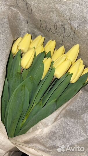 Тюльпаны к 8 марта