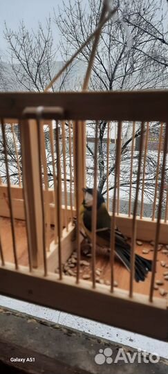 Большая клетка для птиц деревянная