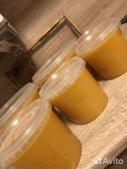 Мед акация урожай 2022 года