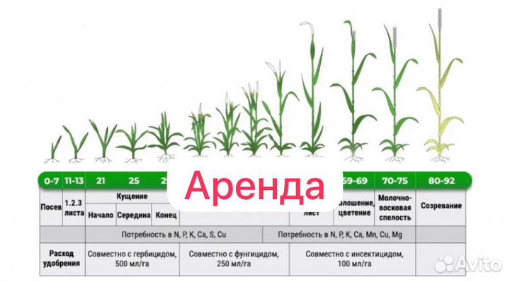Сельхоз предприятие