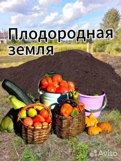 Плодородная земля