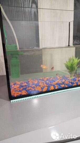 Аквариум с рыбками