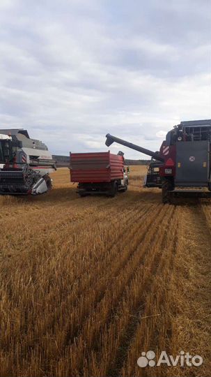 Пшеница, Овес, ячмень, горох, лен, соя