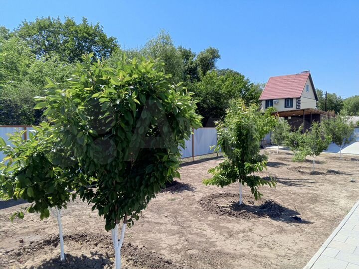 Дача 72 м² на участке 7,2 сот.