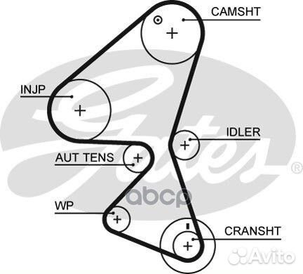 Ремень грм gates 5598XS 5598XS Gates
