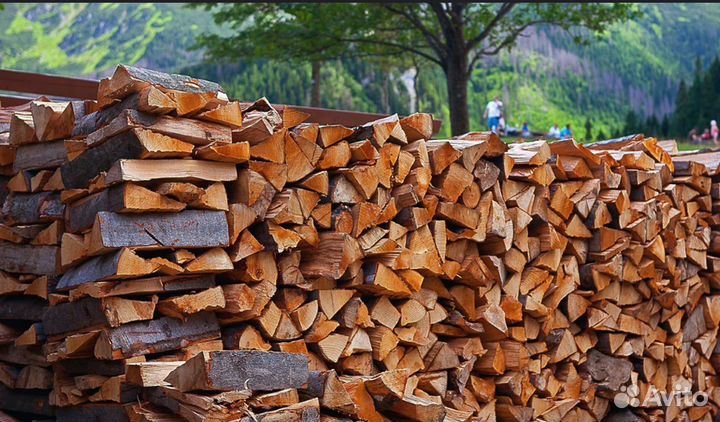 Дрова береза