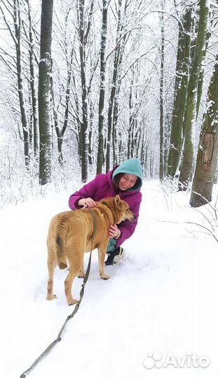 Сладкий Мишанька