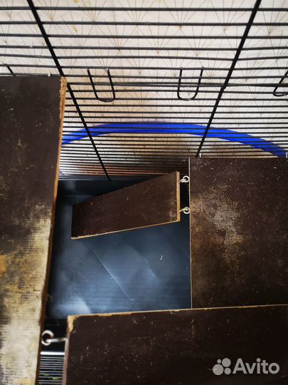 Продам клетку для шиншилл