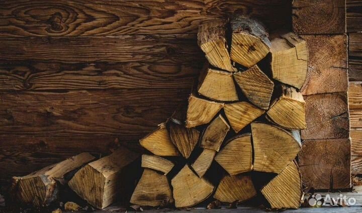 Дрова без жучков