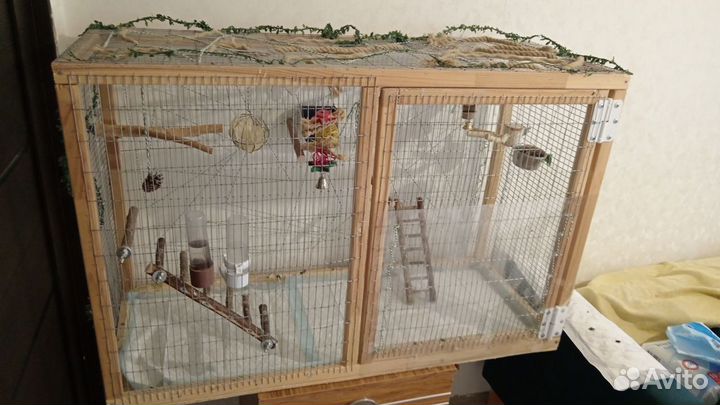 Попугай корелла с клеткой