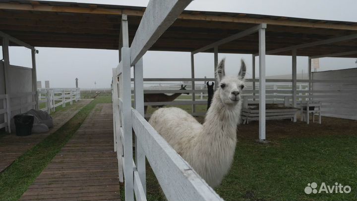 Разнорабочий