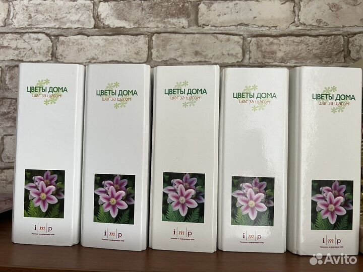 Цветы для дома шаг за шагом