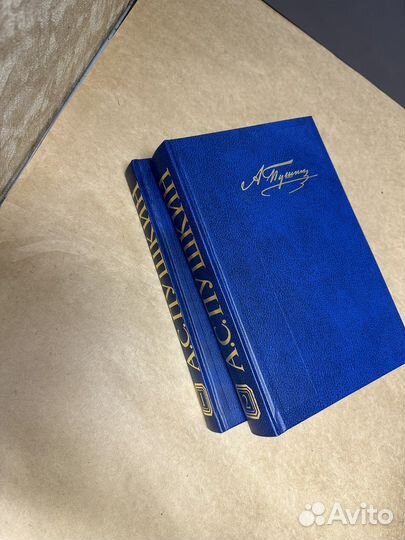 Псс Пушкина в 2х томах опт