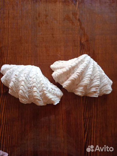 Подарочные наборы, сувениры