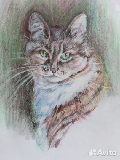 Кот в полумраке