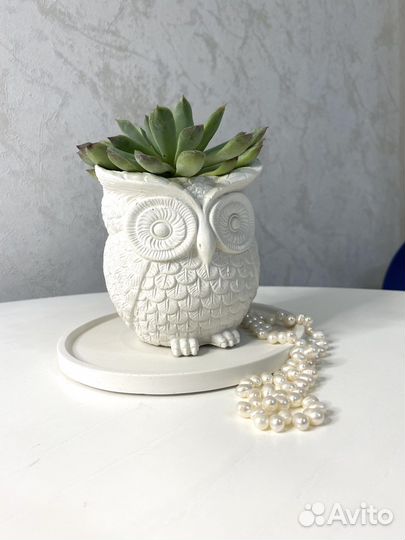 Кашпо из гипса