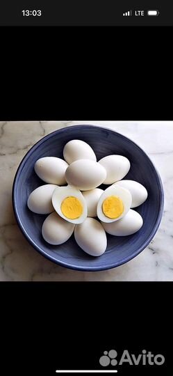 Домашние куриные яйца