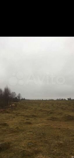 Участок 20 сот. (ИЖС)