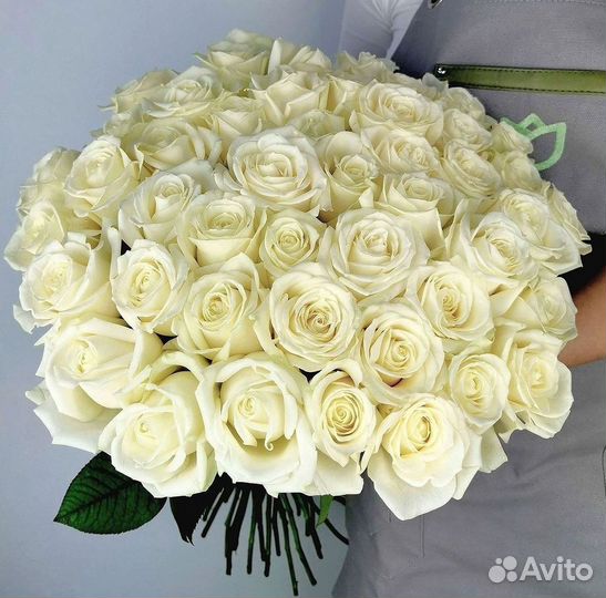 Розы Цветы Букеты 25 51 151 201 101 301 501 опт