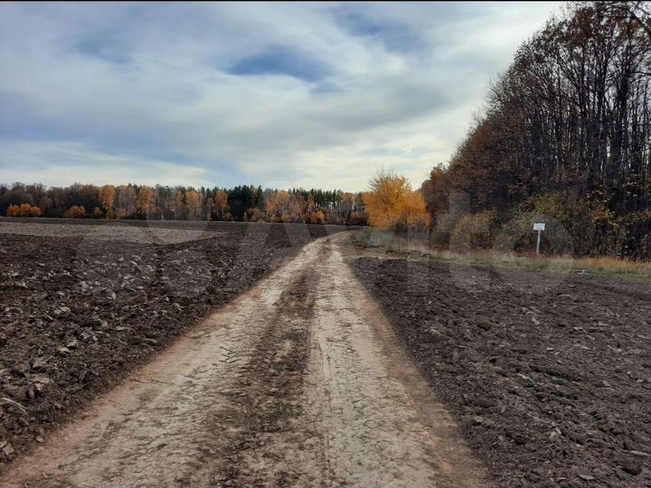 Участок 14,5 га (ИЖС)