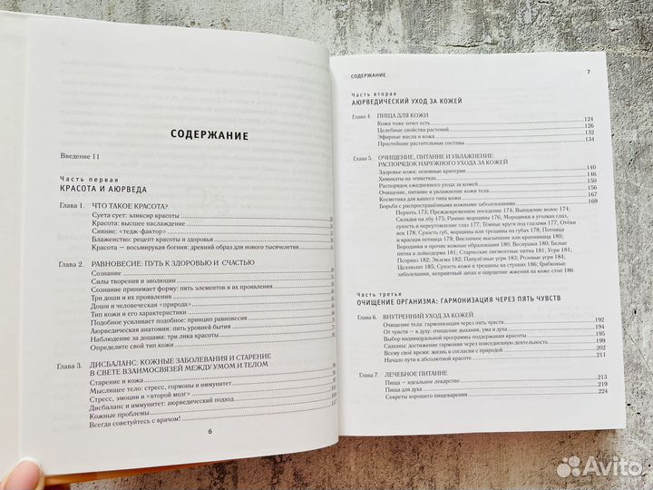 Райчур, Кон: Абсолютная красота