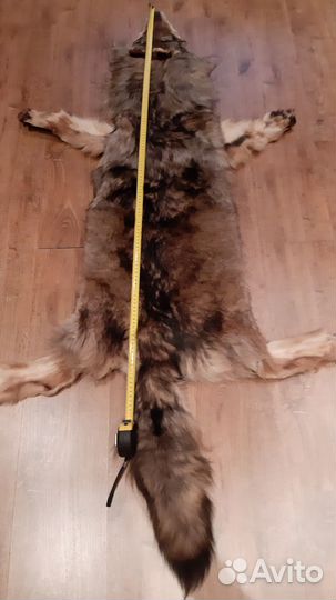 Шкура волка