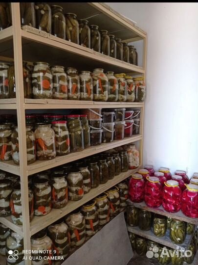 Соленья Таркинский перец