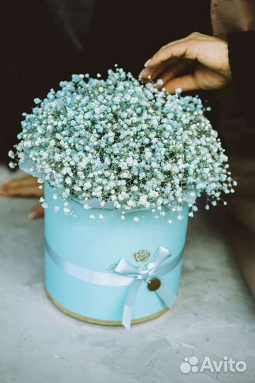 Букет из гипсофилы