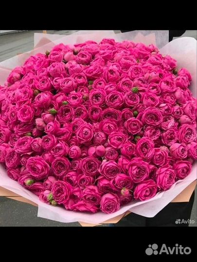 Пионыи и Розы круглосуточно