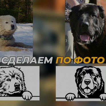 Табличка на дом с собакой по фотографии