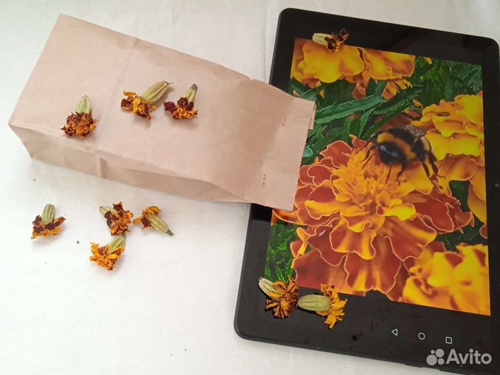 Сушеные пряные травы травяной чай тагетис бархатцы