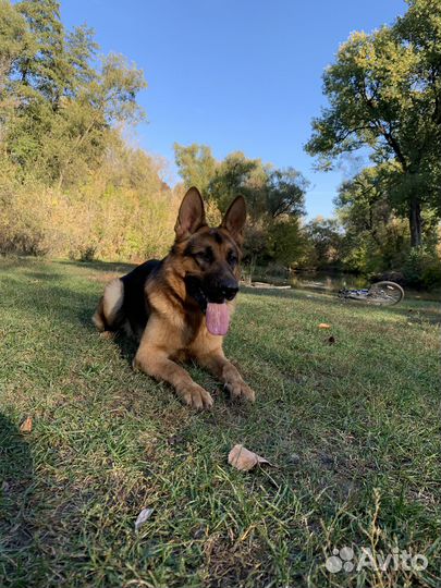 Кабель для вязки