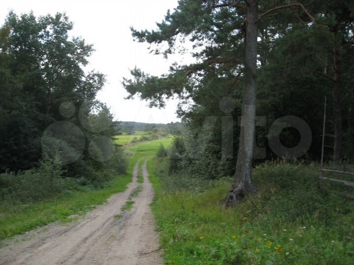Участок 5 га (СНТ, ДНП)