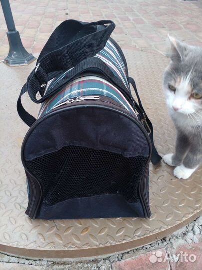 Переноска для животных